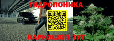 apvp Тара