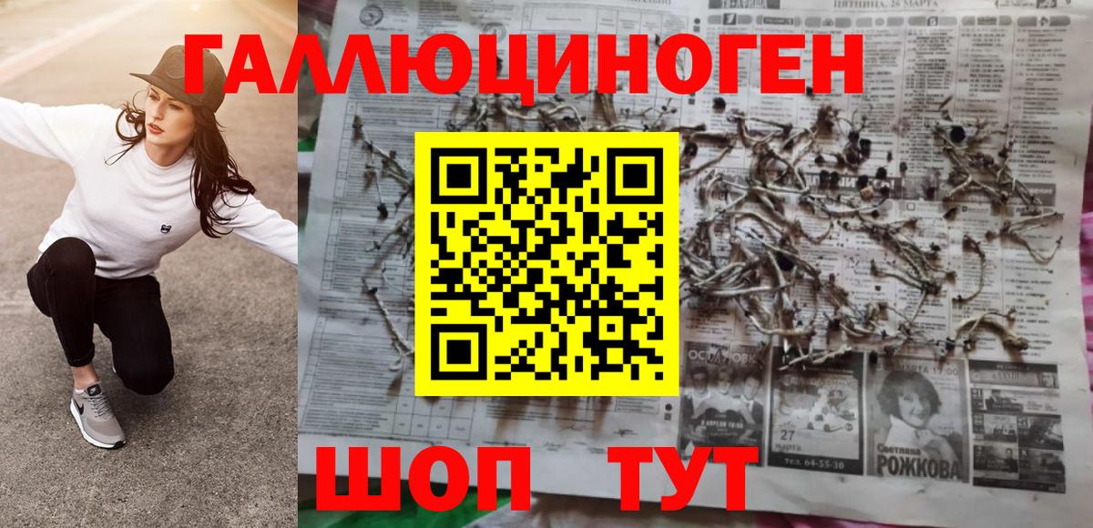 Мурино  Псилоцибиновые грибы мицелий  Вход с VPN 