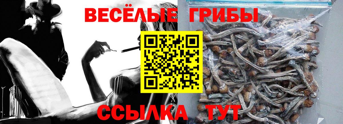 Галлюциногенные грибы GOLDEN TEACHER Мурино